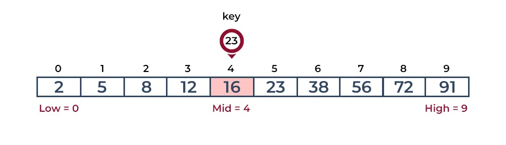 Binary Search 1