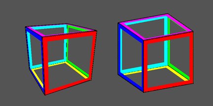 orthographic vs perspective