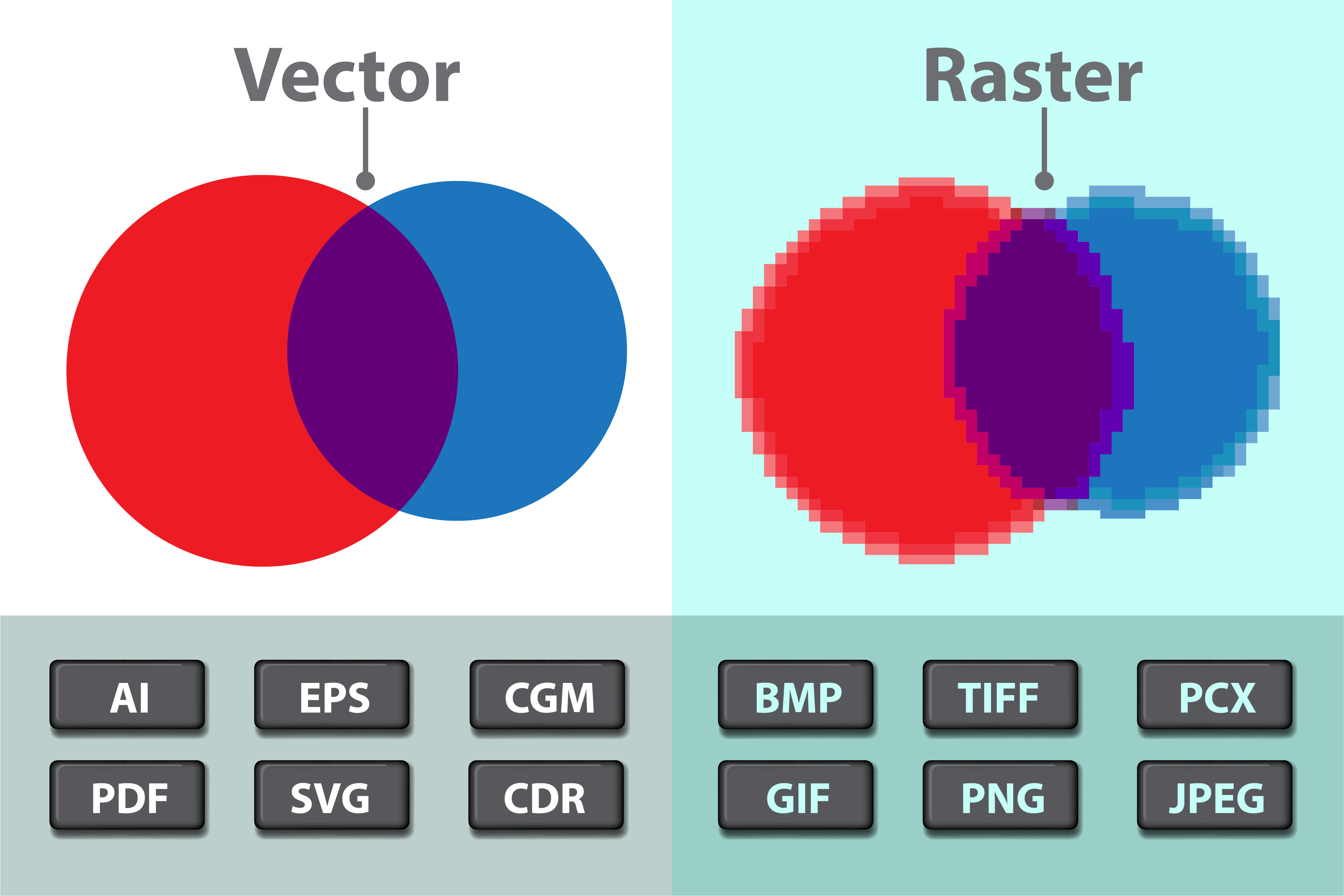 raster vs vector